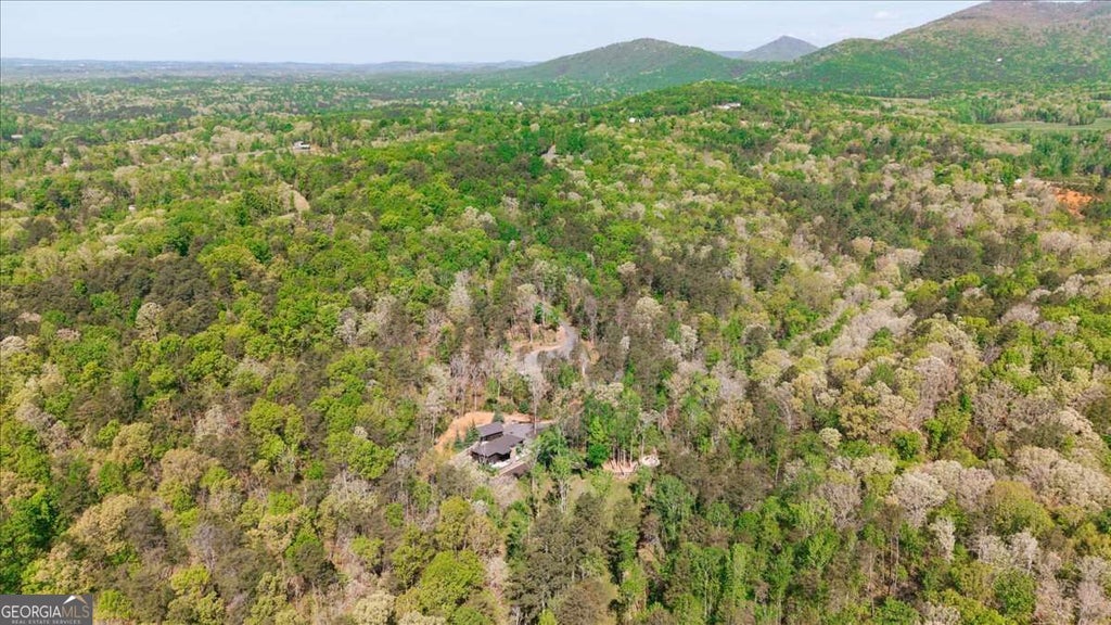Photo of 545 Cowart Mountain Road, Jasper, GA 30143 (MLS # 10852375)