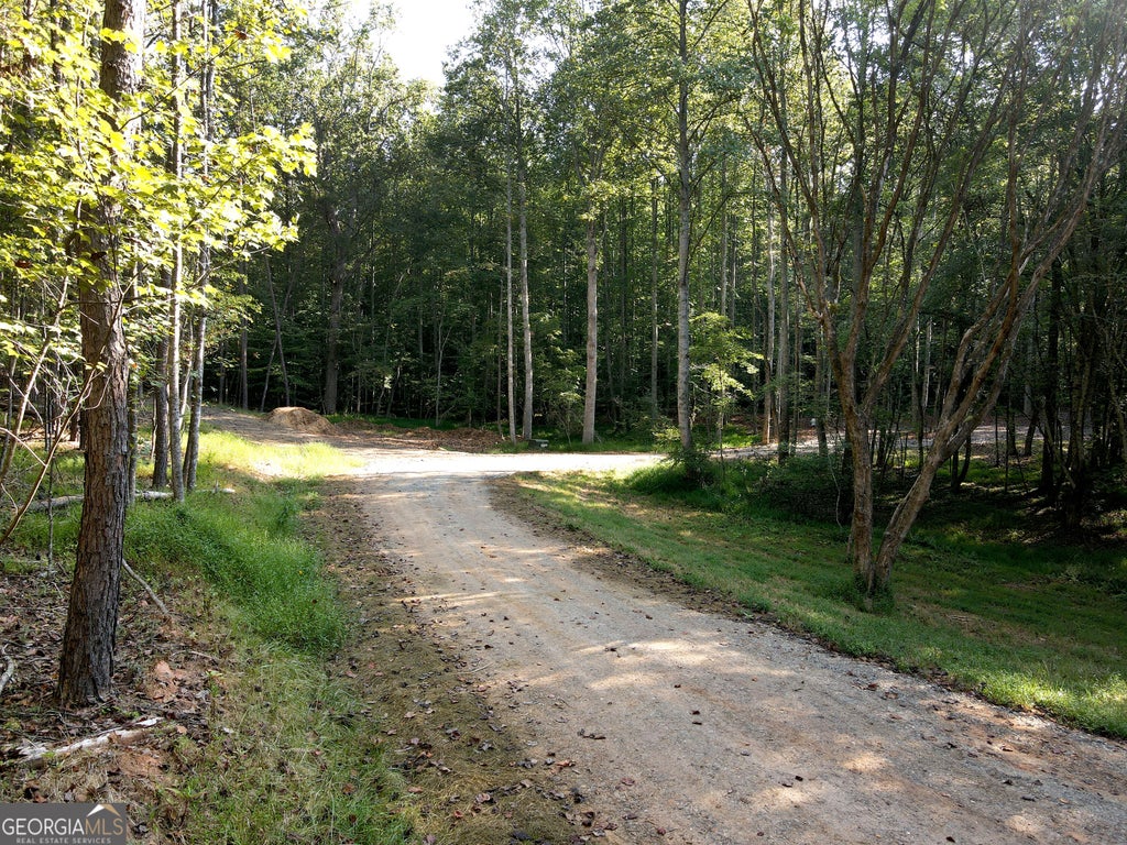 Photo of 174 Boyd Hollow Drive, Blairsville, GA 30512 (MLS # 10850957)