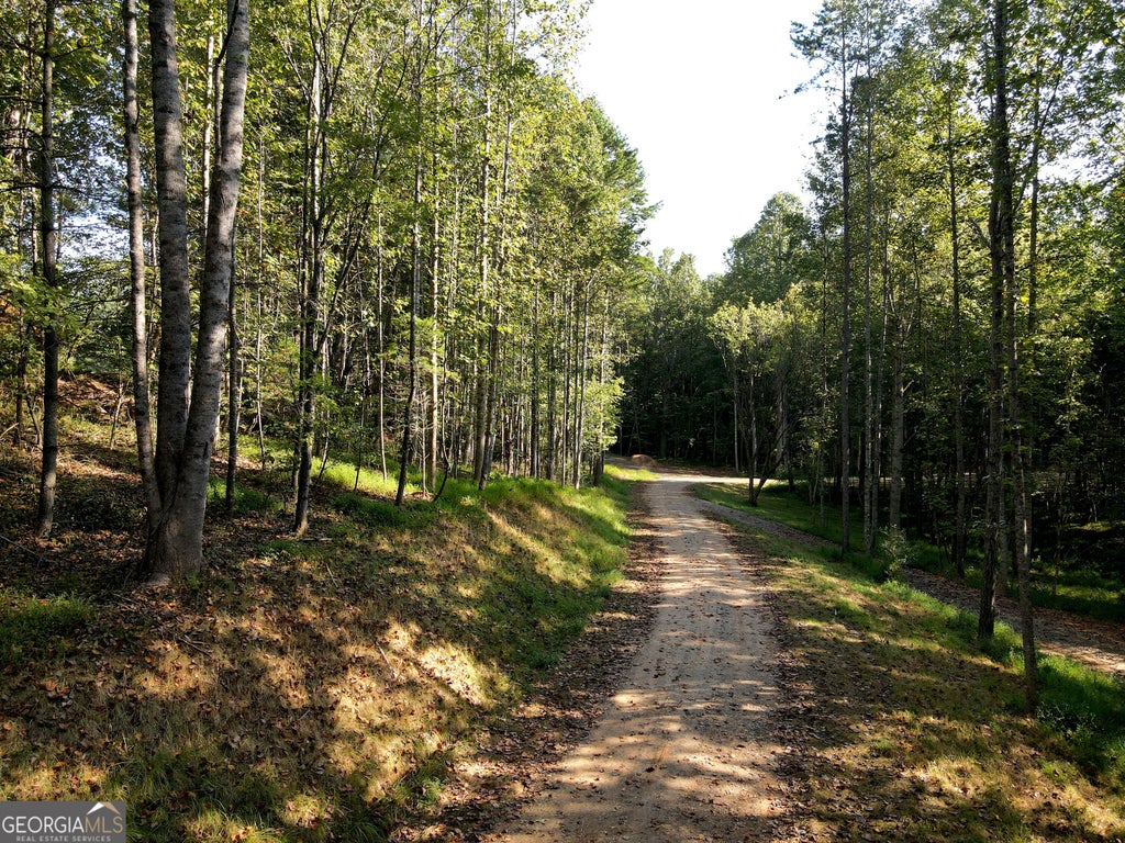 Photo of 174 Boyd Hollow Drive, Blairsville, GA 30512 (MLS # 10850957)