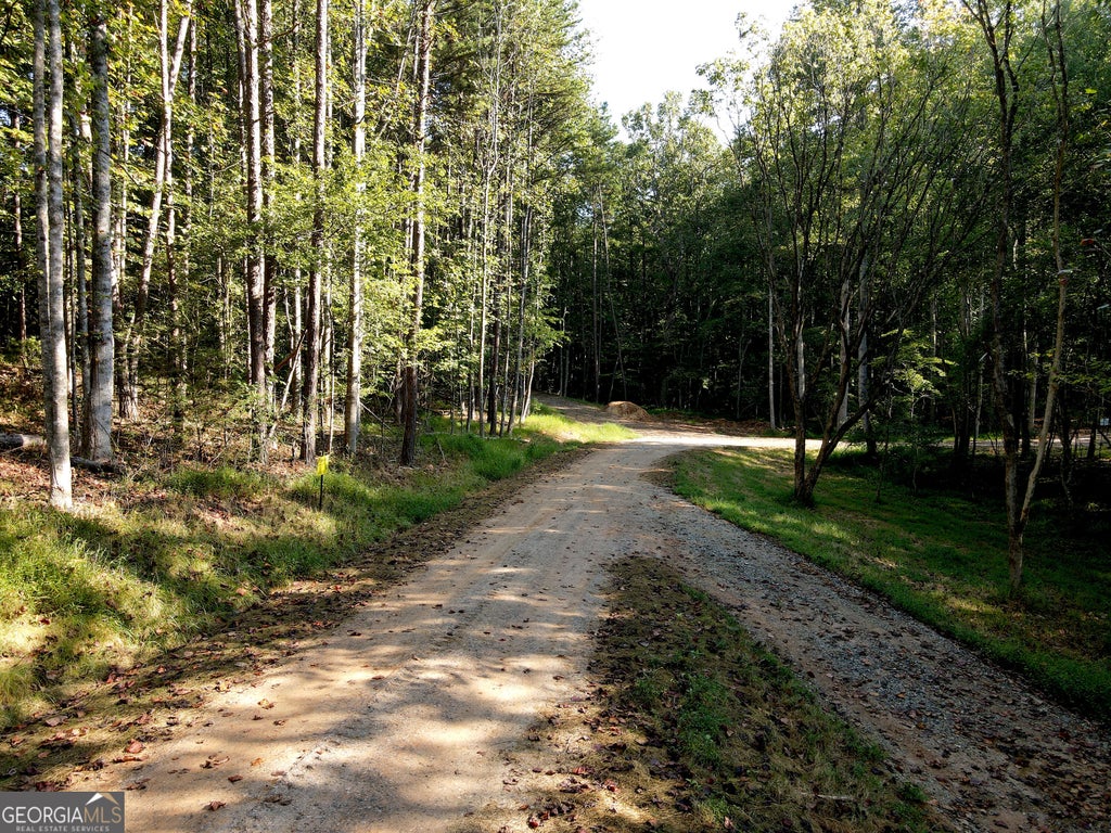 Photo of 174 Boyd Hollow Drive, Blairsville, GA 30512 (MLS # 10850957)