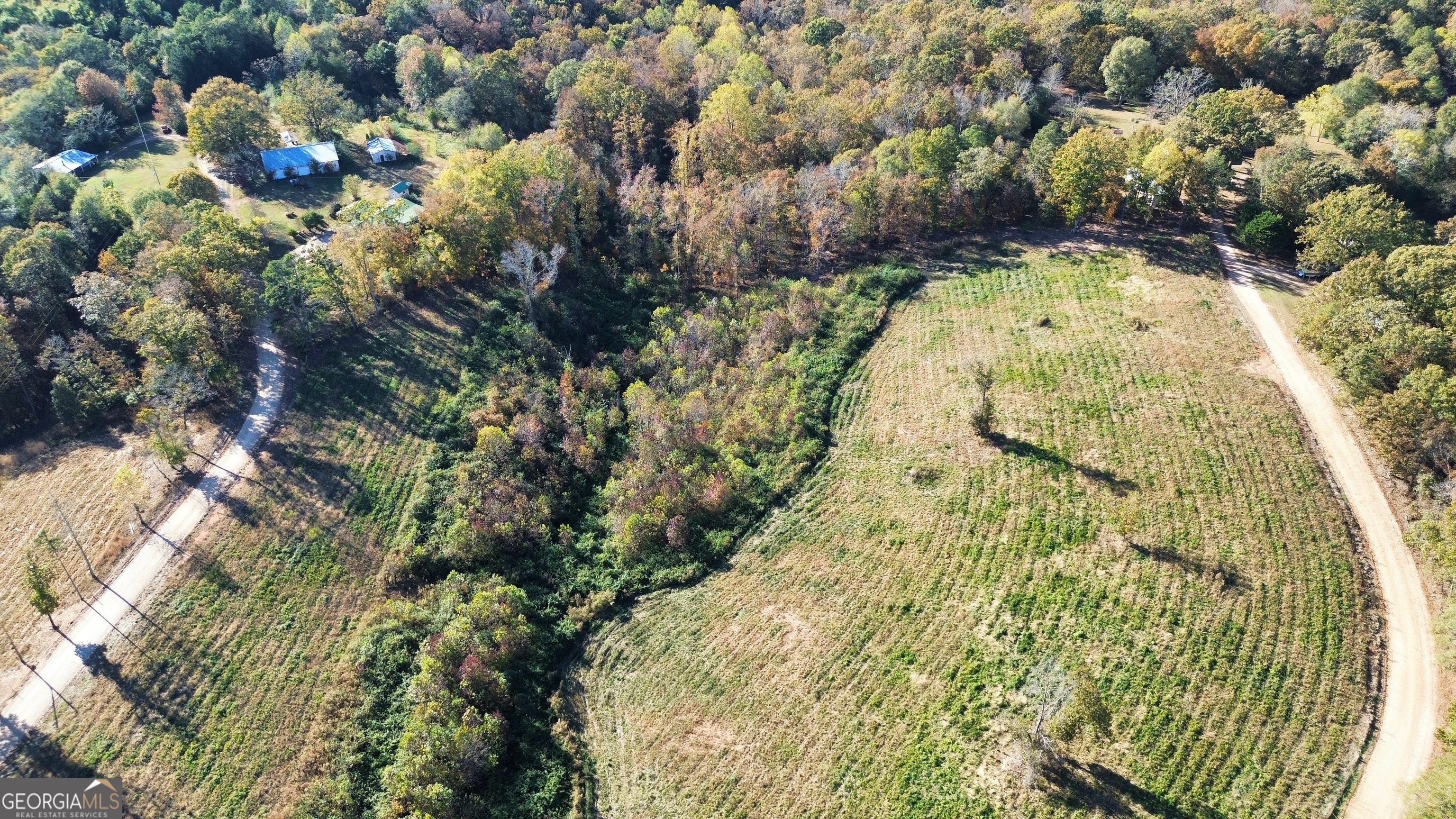 115 Roan Williams RD