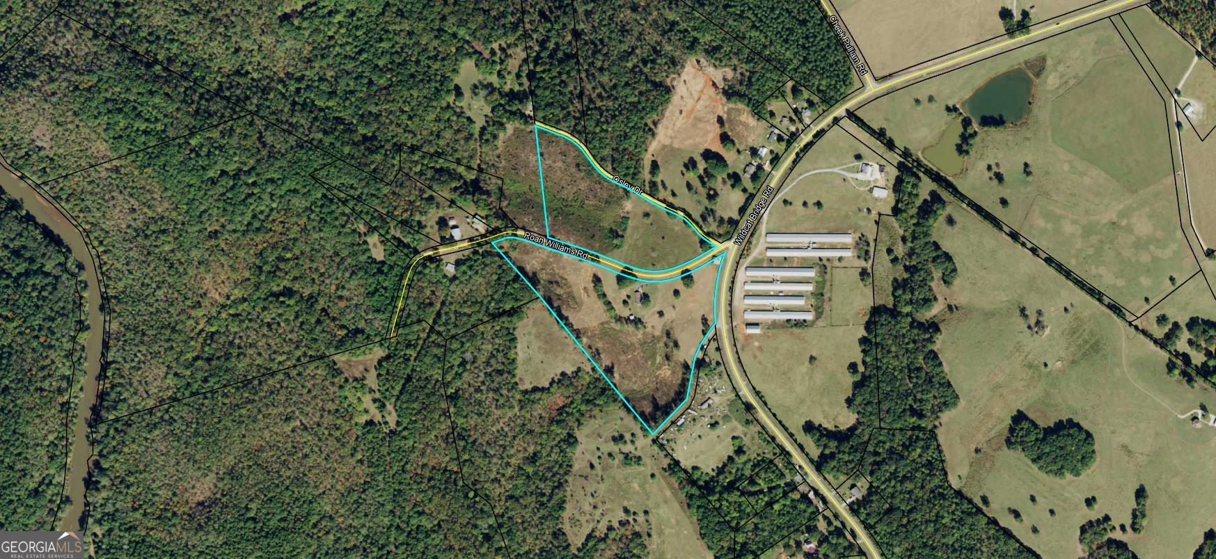115 Roan Williams RD