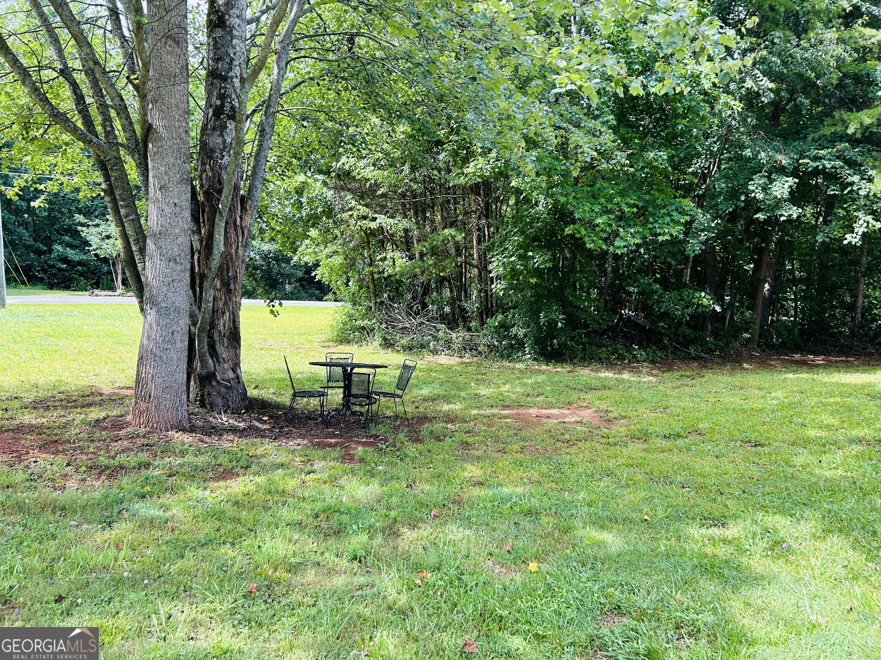 766 Wild Rose LN