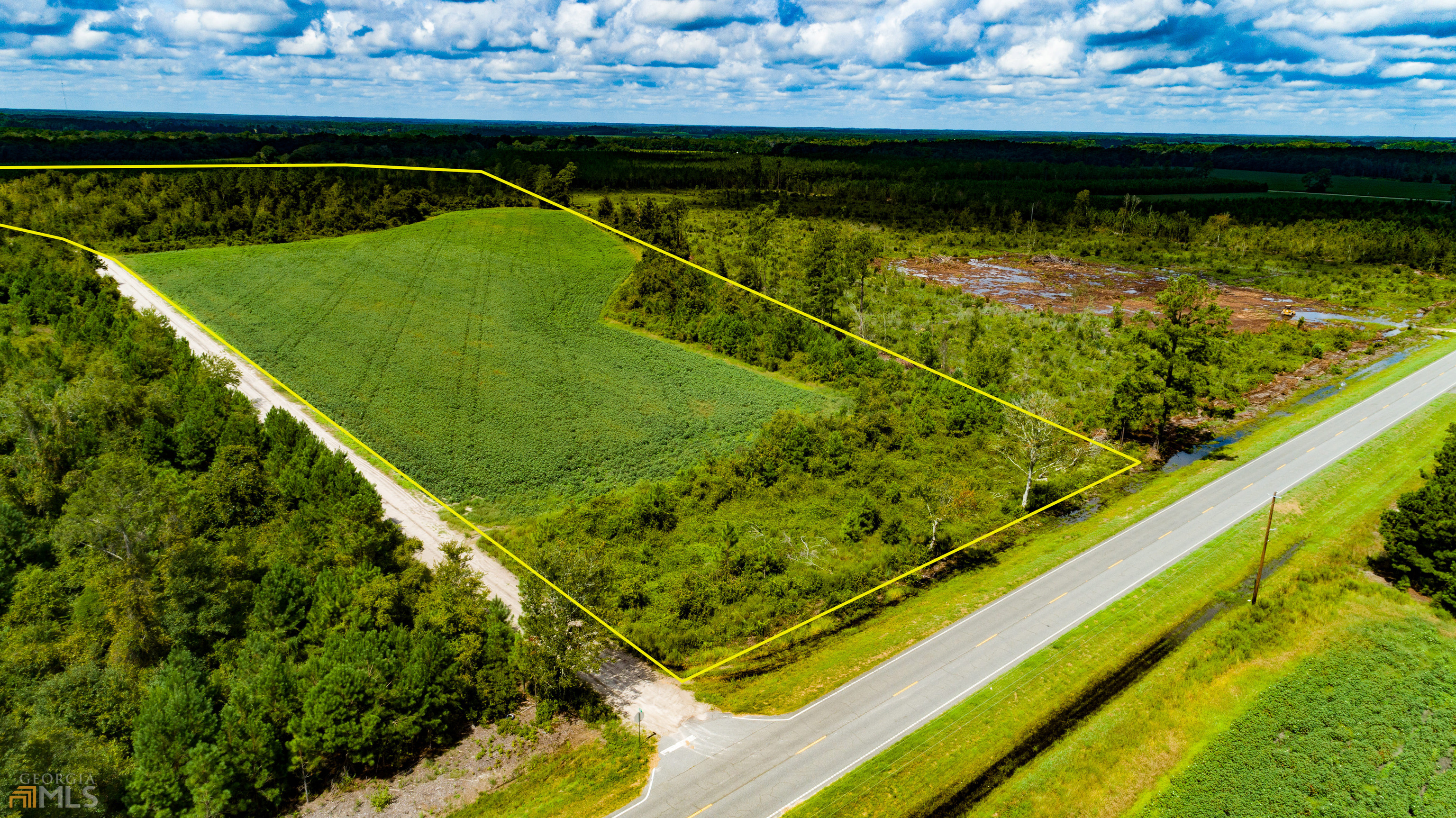 This is the perfect property for a homesite or gentleman farm with some extra acreage. The tract has road frontage on three sides with highway frontage on Blackshear Highway as well as dirt road frontage on Goody Road and Holland Cemetery Road. Approximately 10.5 acres of the property is currently in cultivation and could easily be converted into a homesite or mini farm. The remainder of the land is in natural growth and could be converted to pine production or into cultivation. The property is 48.4 acres more or less. Will be sold subject to a new survey. This property will not last long, call today! Additional Acreage Available