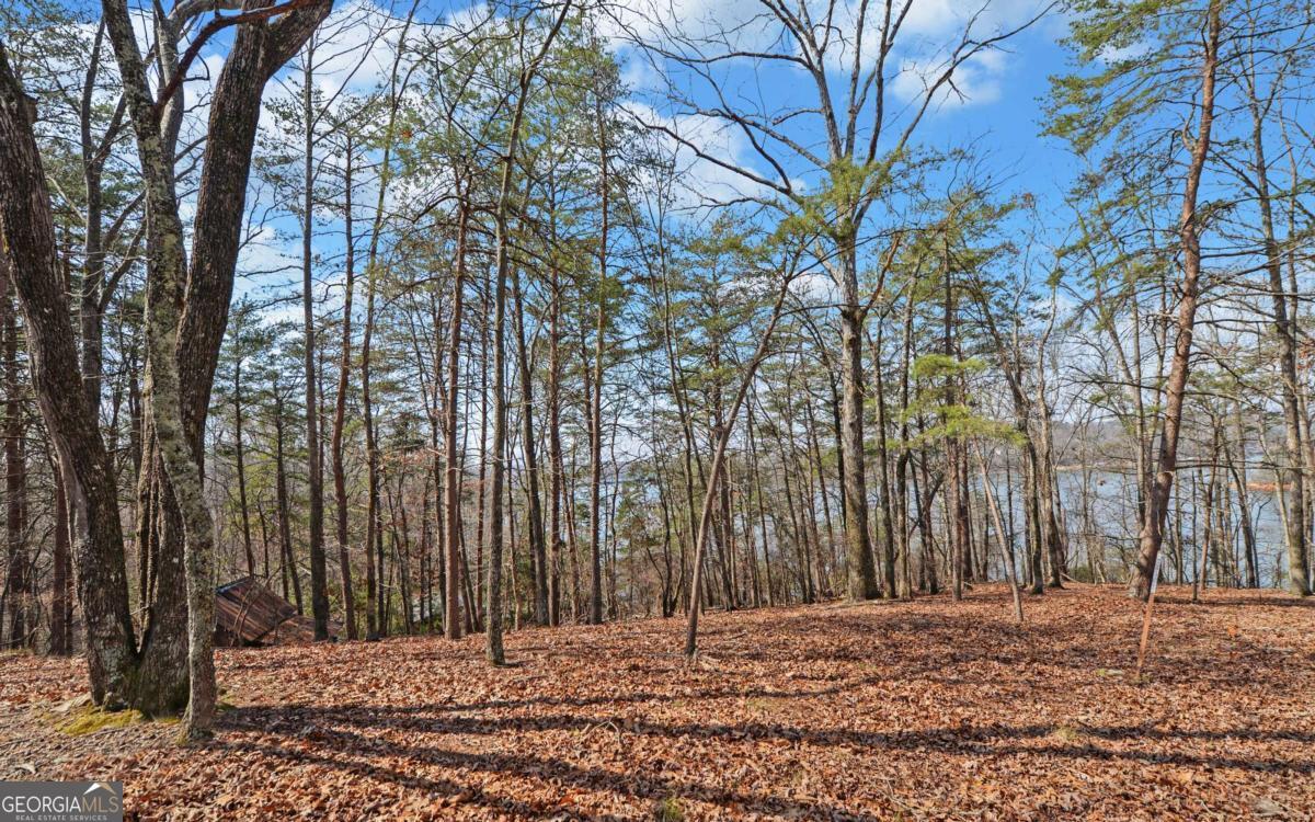 2290 Boy Scout Camp RD