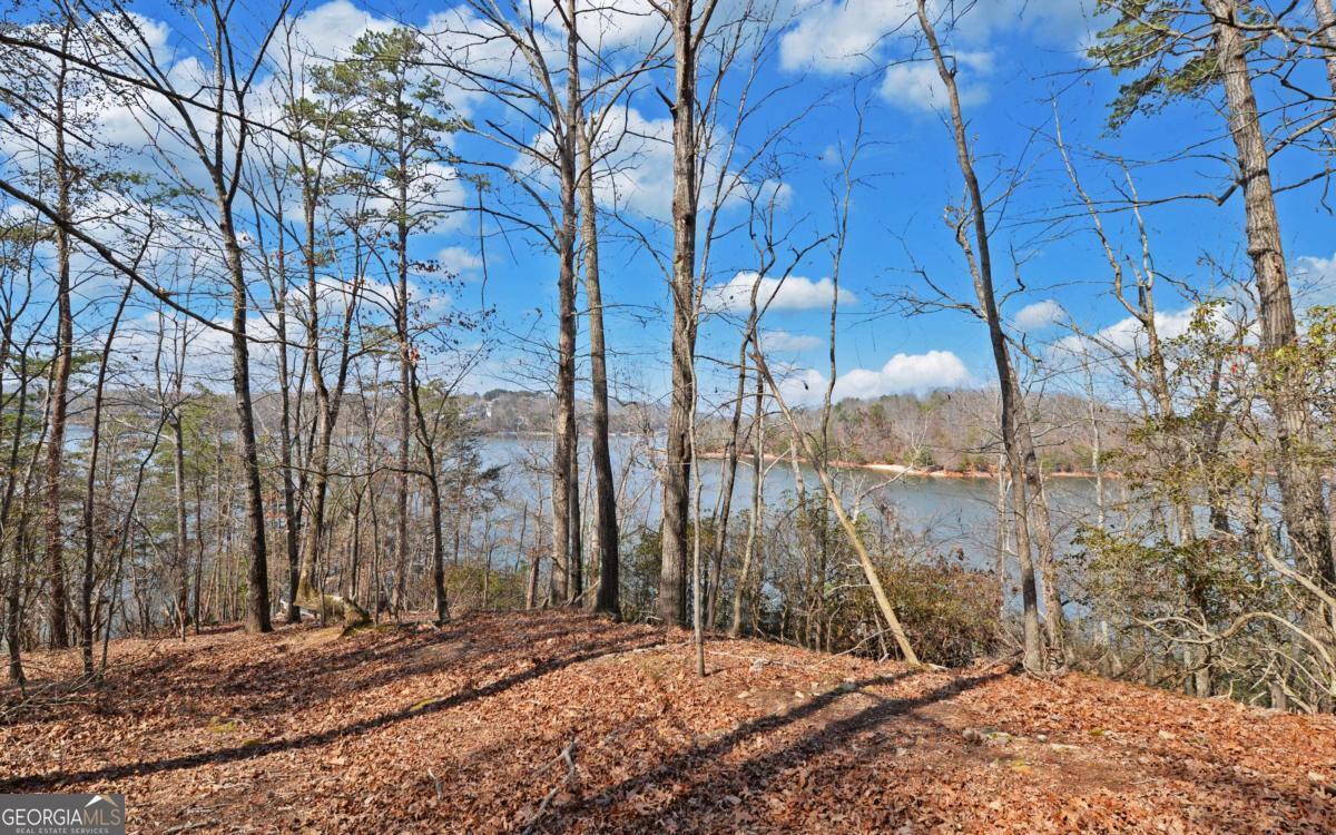 2290 Boy Scout Camp RD