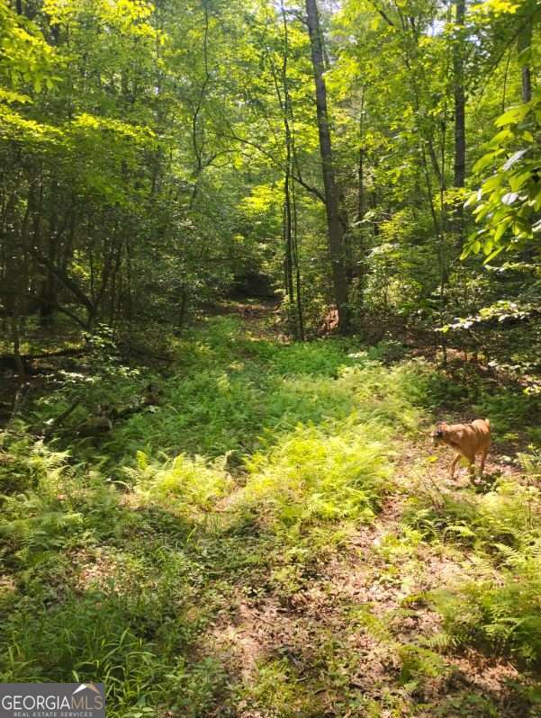 11.12 AC Lowman RD 156