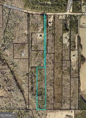 0 FLOURNOY ROAD, HAWKINSVILLE, GA 31036 - Image 043c57bcd70fcff2fb5a1f007b107e0e/2787387558