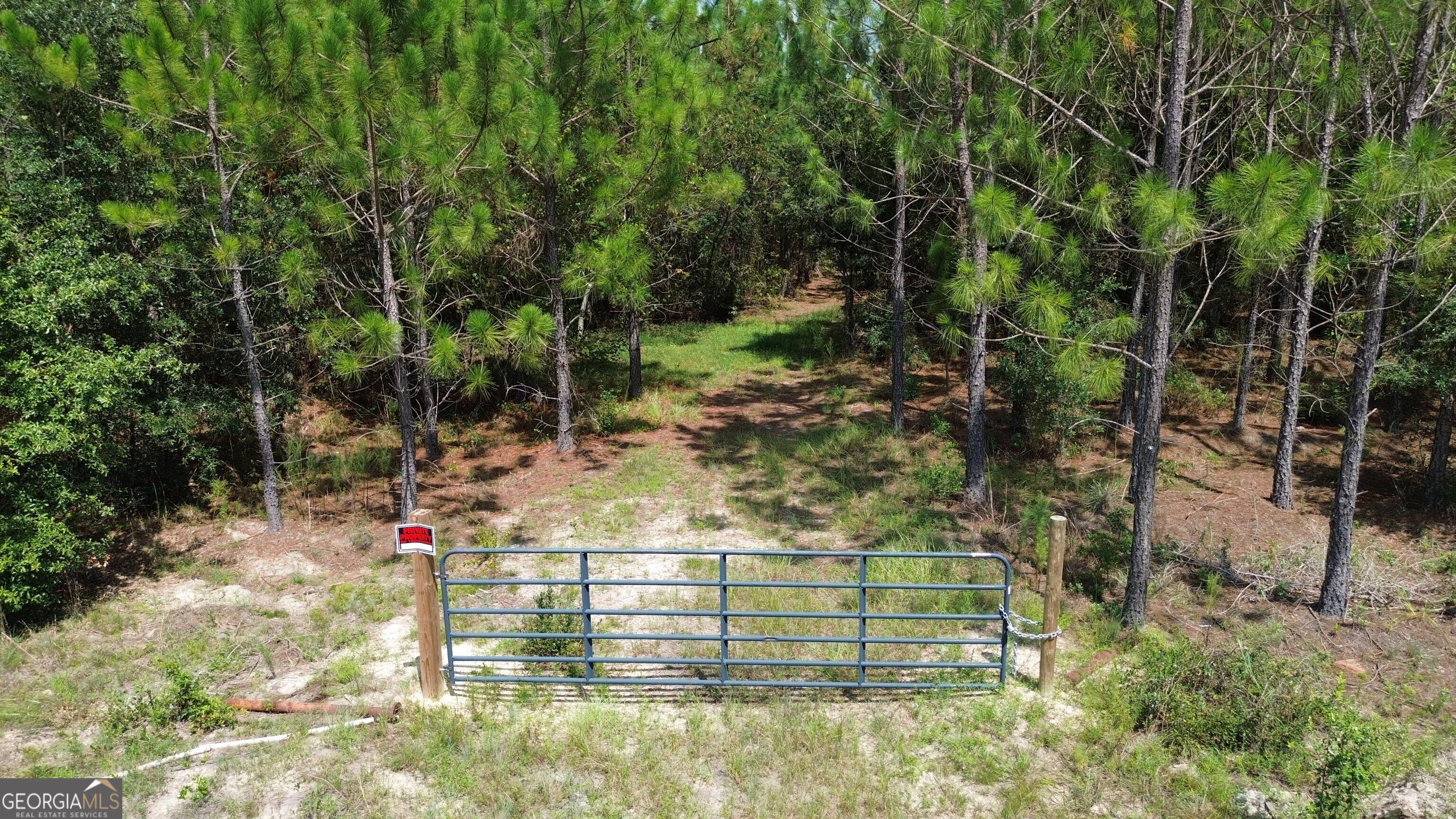 TRACT 4 Penny Morris Road, Baxley, GA, 31513