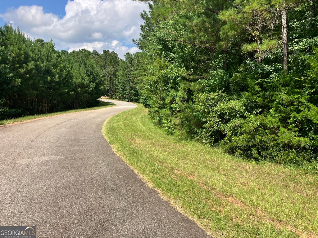 Photo of 203 Johnson Mill Road, Hamilton, GA 31811 (MLS # 10831193)