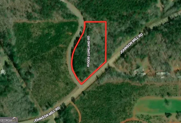 2.03 AC Johnson Mill Road, Hamilton, GA, 31811