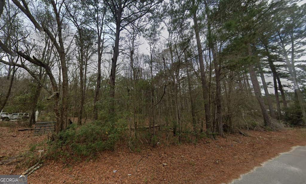 Photo of 545 Homestead Drive, Ellabell, GA 31308 (MLS # 10825588)