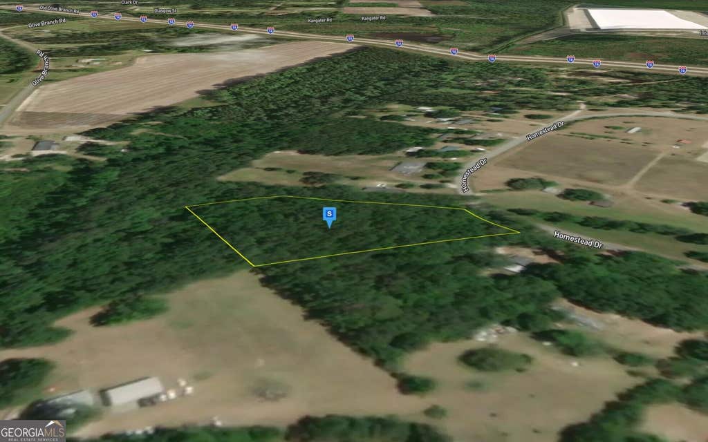 Photo of 545 Homestead Drive, Ellabell, GA 31308 (MLS # 10825588)