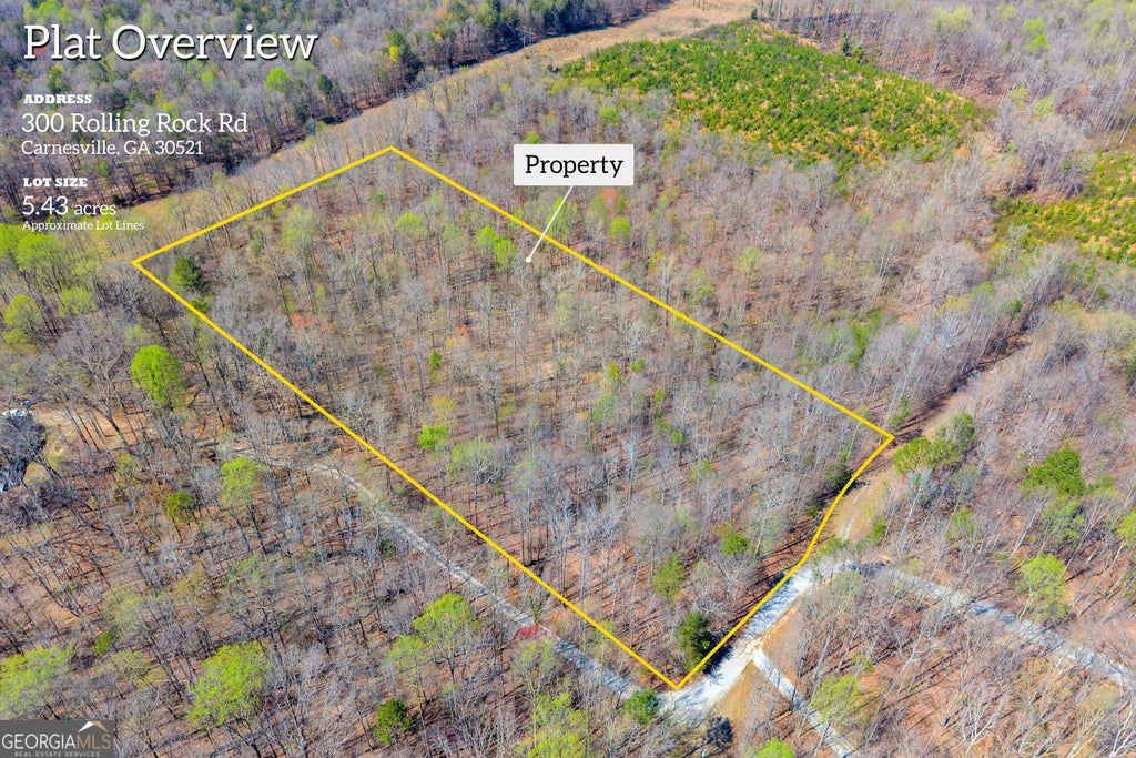 Photo of 0 Rolling Rock Road, Carnesville, GA 30521 (MLS # 10785607)