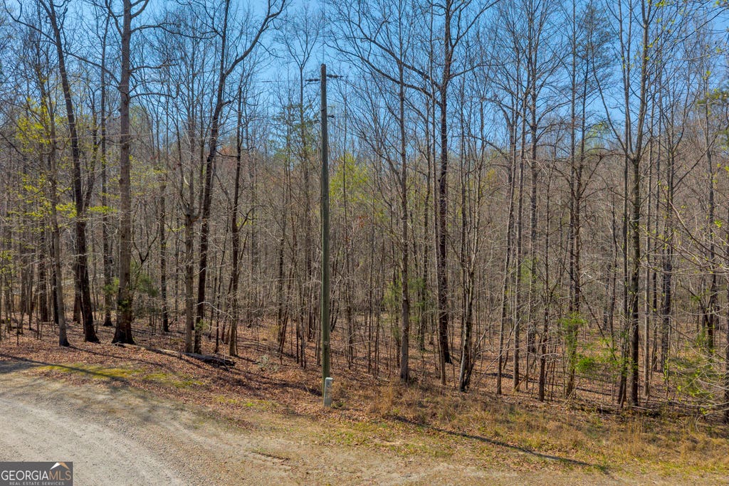 Photo of 0 Rolling Rock Road, Carnesville, GA 30521 (MLS # 10785607)