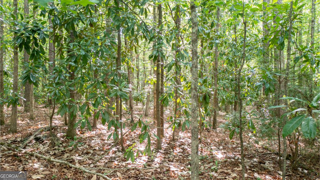 Photo of 0 Roosevelt Highway, Warm Springs, GA 31830 (MLS # 10763819)