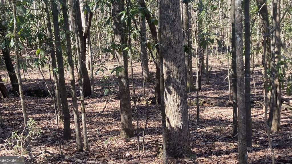 Photo of 0 Roosevelt Highway, Warm Springs, GA 31830 (MLS # 10763819)