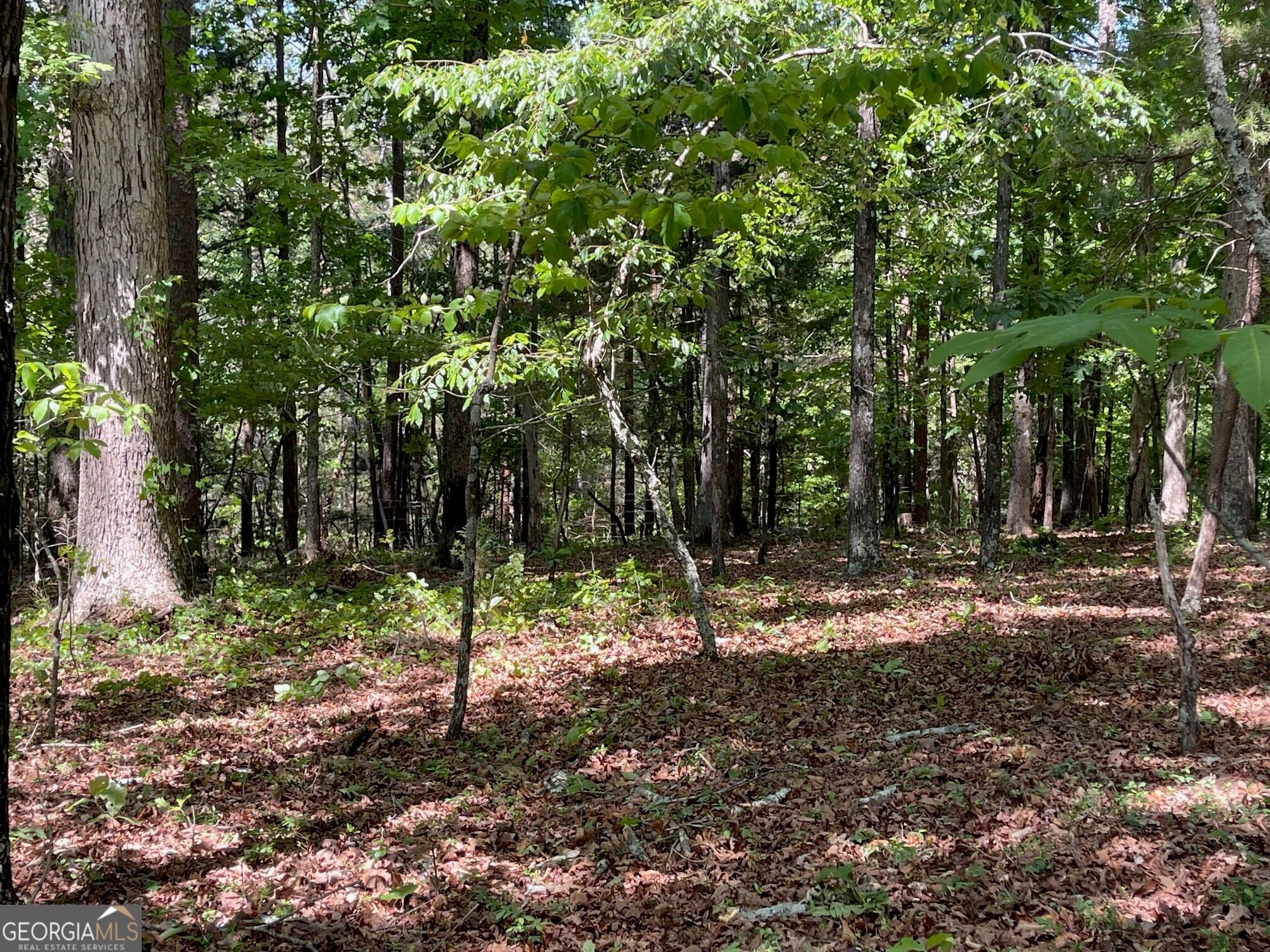 TRACT 2 CHALCREST WAY