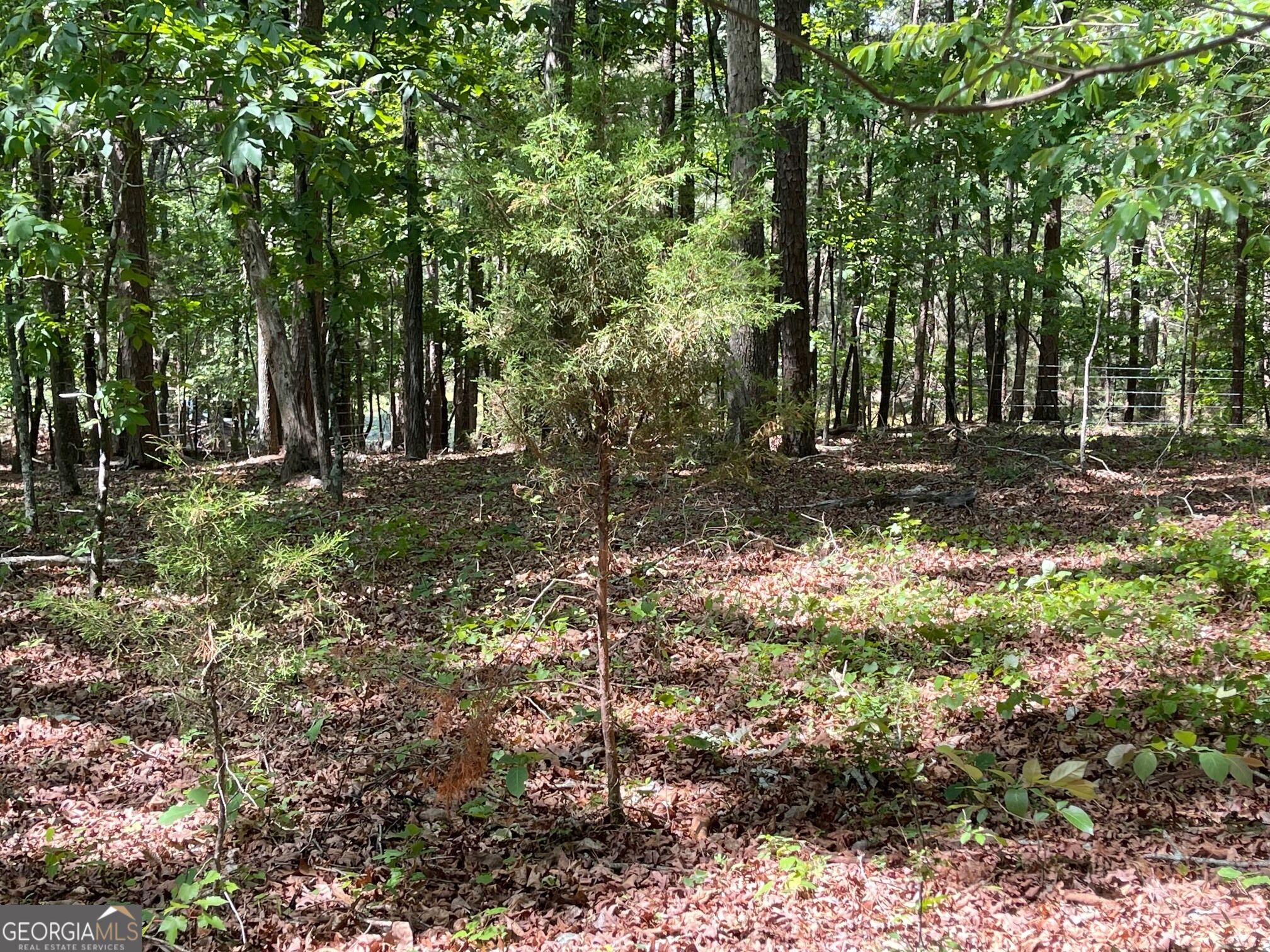 TRACT 2 CHALCREST WAY