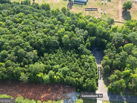 Photo of 369 Canvasback Trail #147, Locust Grove, GA 30248 (MLS # 10870923)