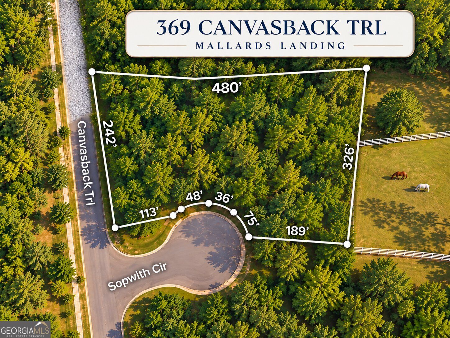 369 Canvasback TRL 147