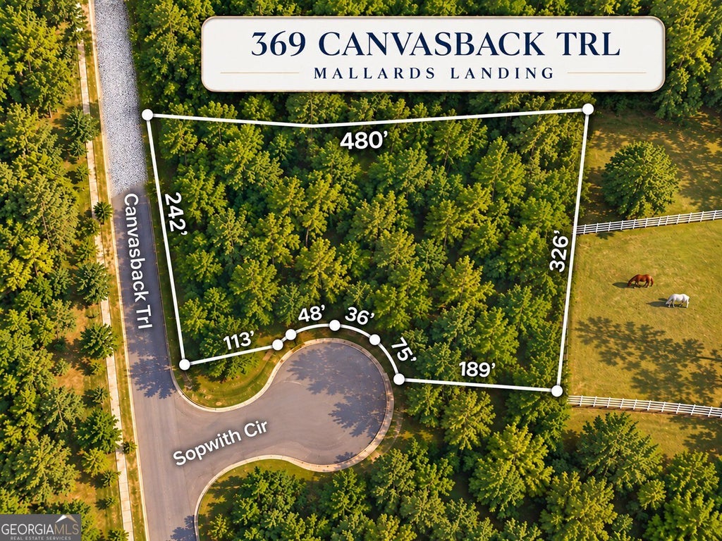Photo of 369 Canvasback Trail #147, Locust Grove, GA 30248 (MLS # 10870923)