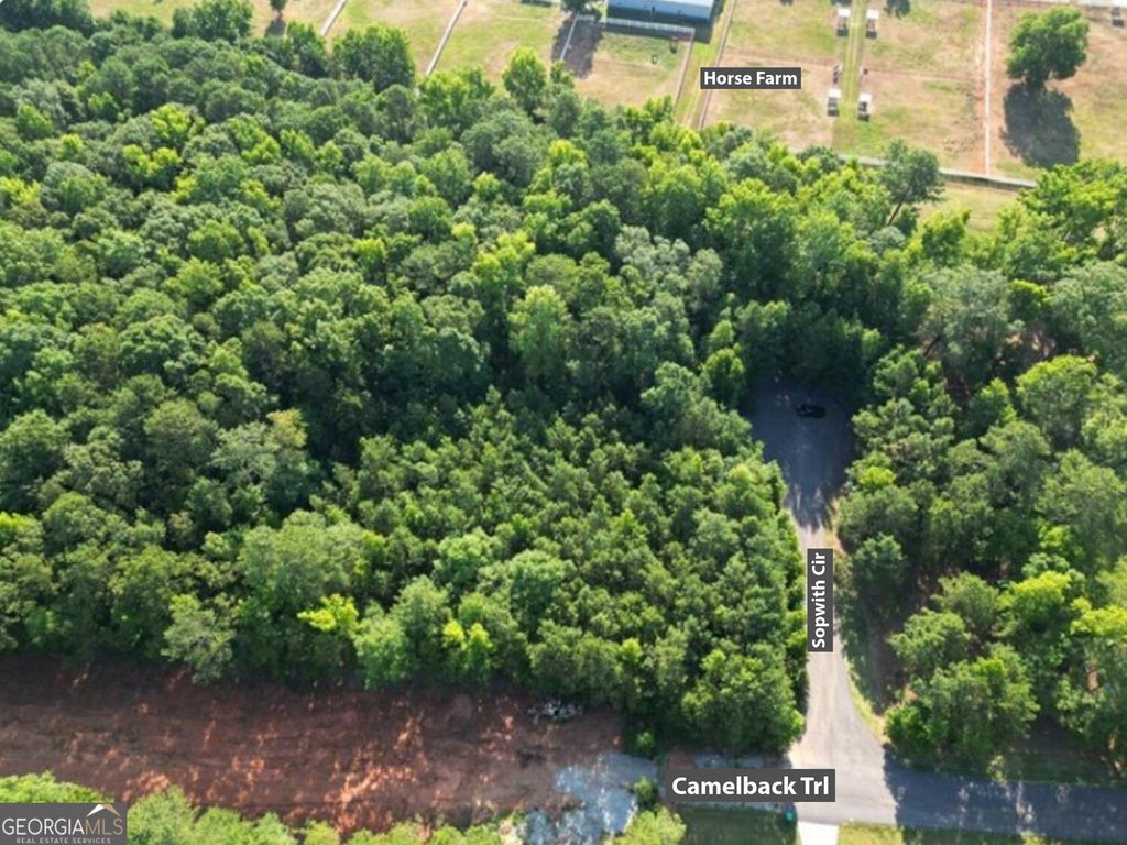 Photo of 369 Canvasback Trail #147, Locust Grove, GA 30248 (MLS # 10870923)