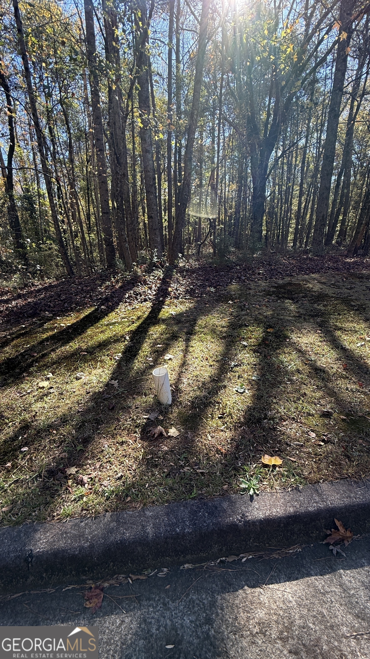LOT 15 OF Fairview Springs DR E