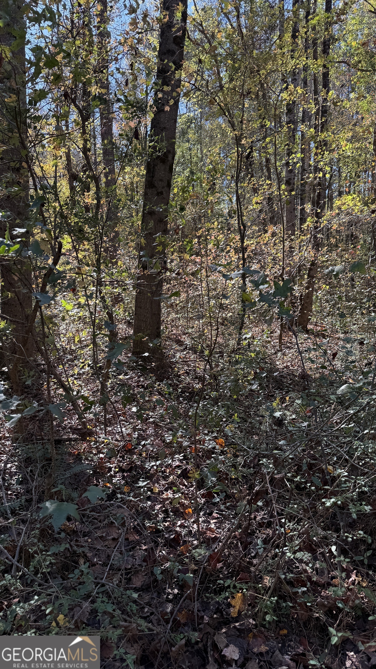 LOT 15 OF Fairview Springs DR E