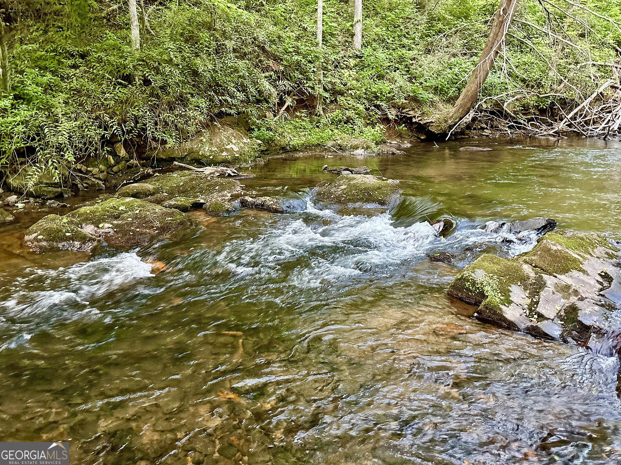 LOT 5 Spiva Cove