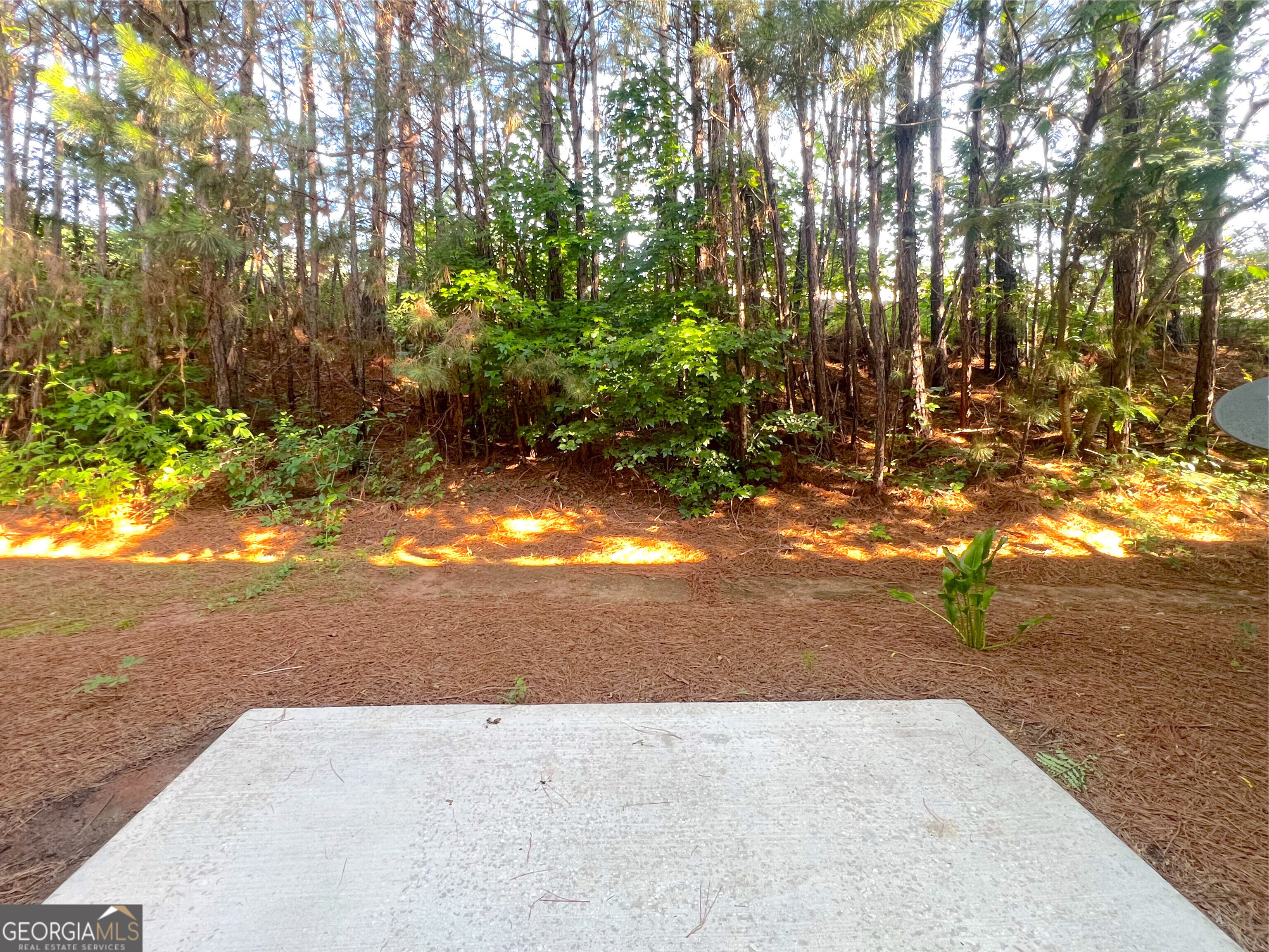 New Rockbridge - Residential Lease