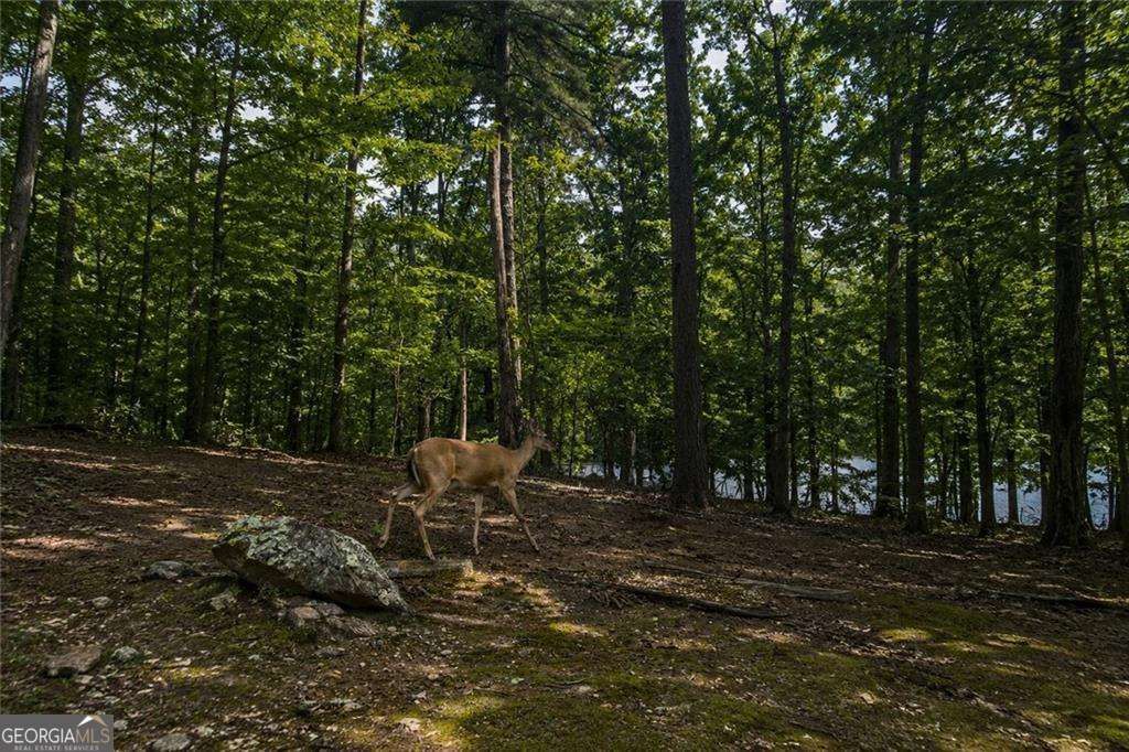 Photo of 126 Delaney Pine Drive, Waleska, GA 30183 (MLS # 10787118)