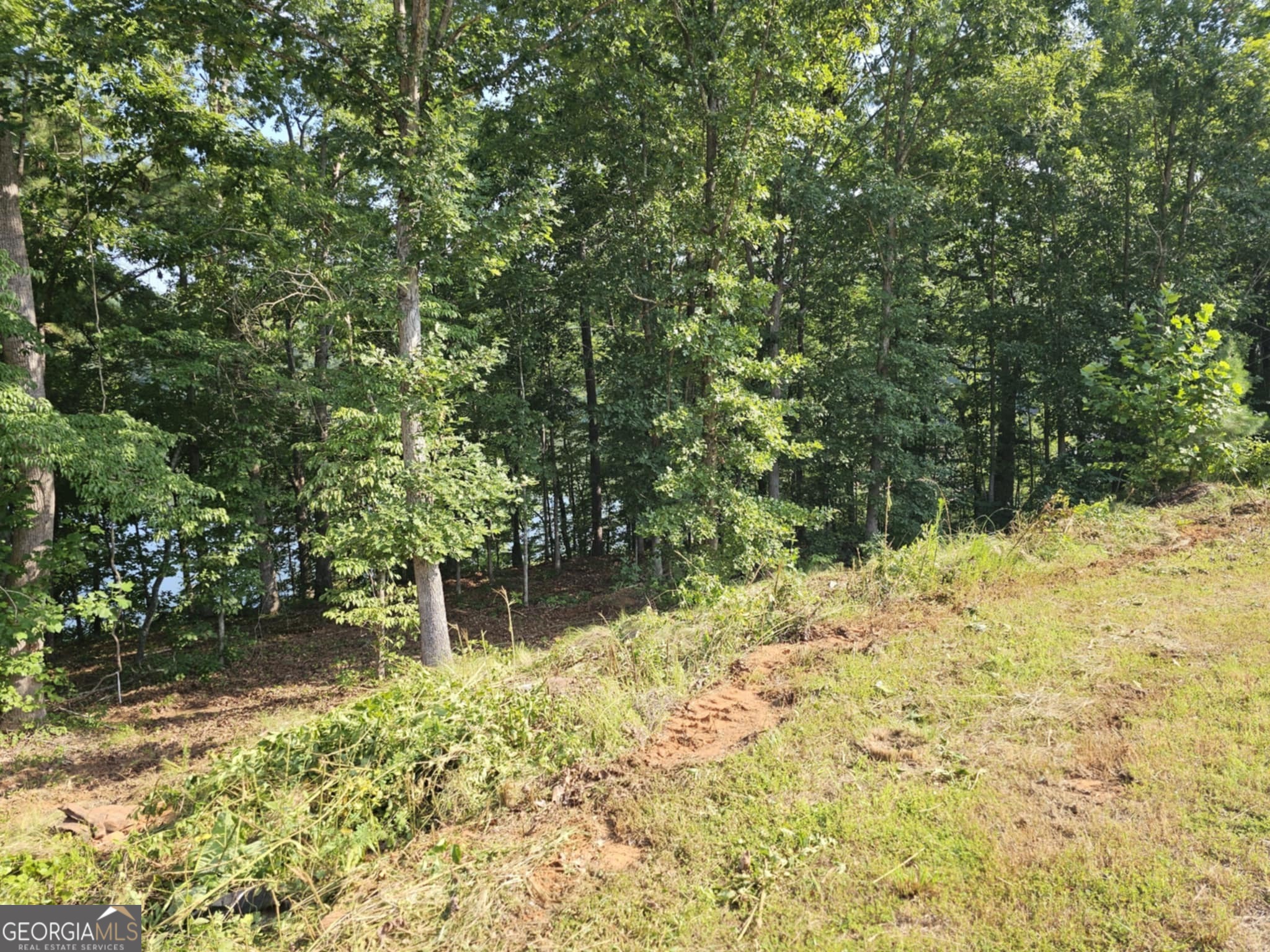 237 Southern Trace