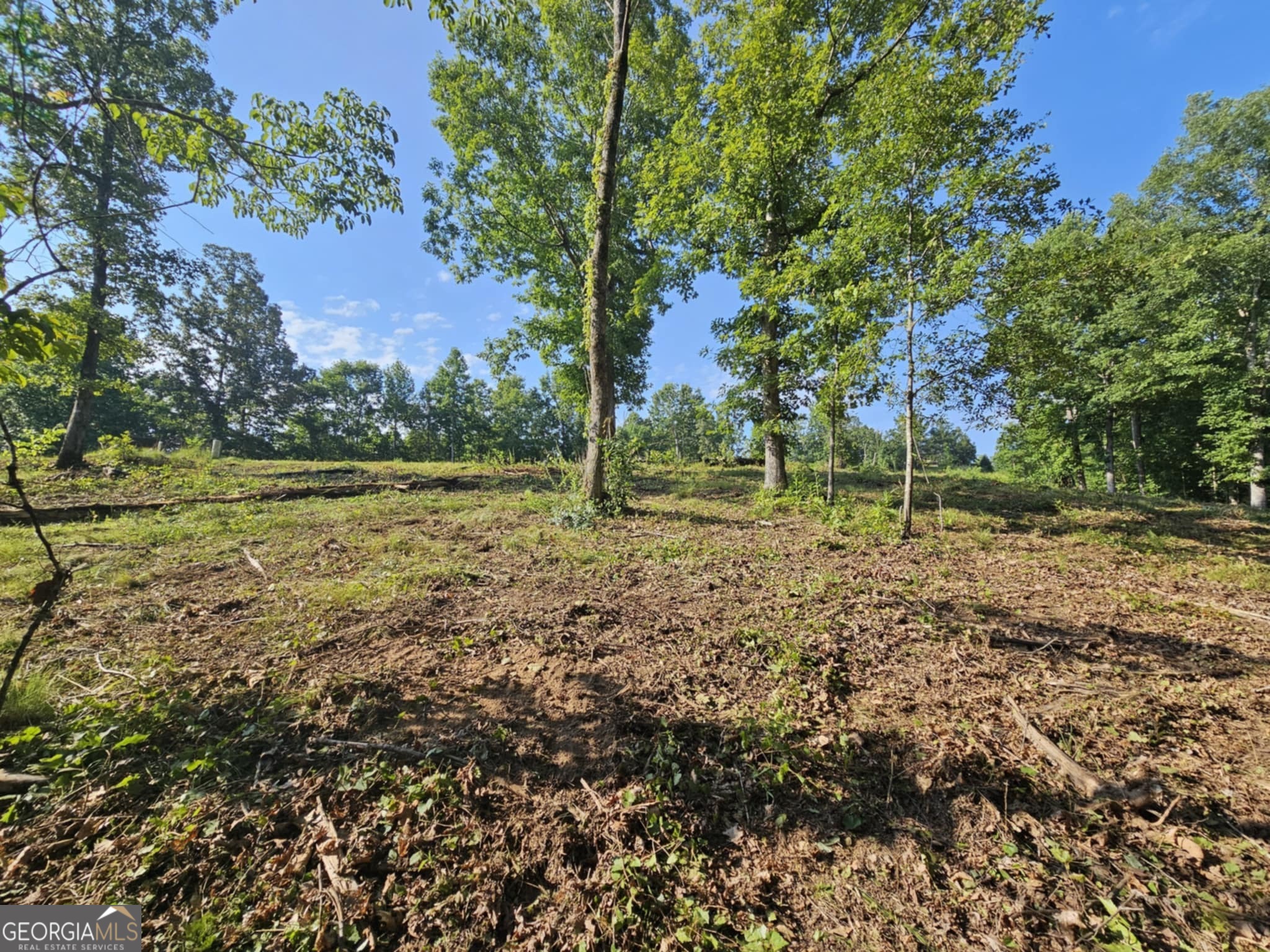 237 Southern Trace