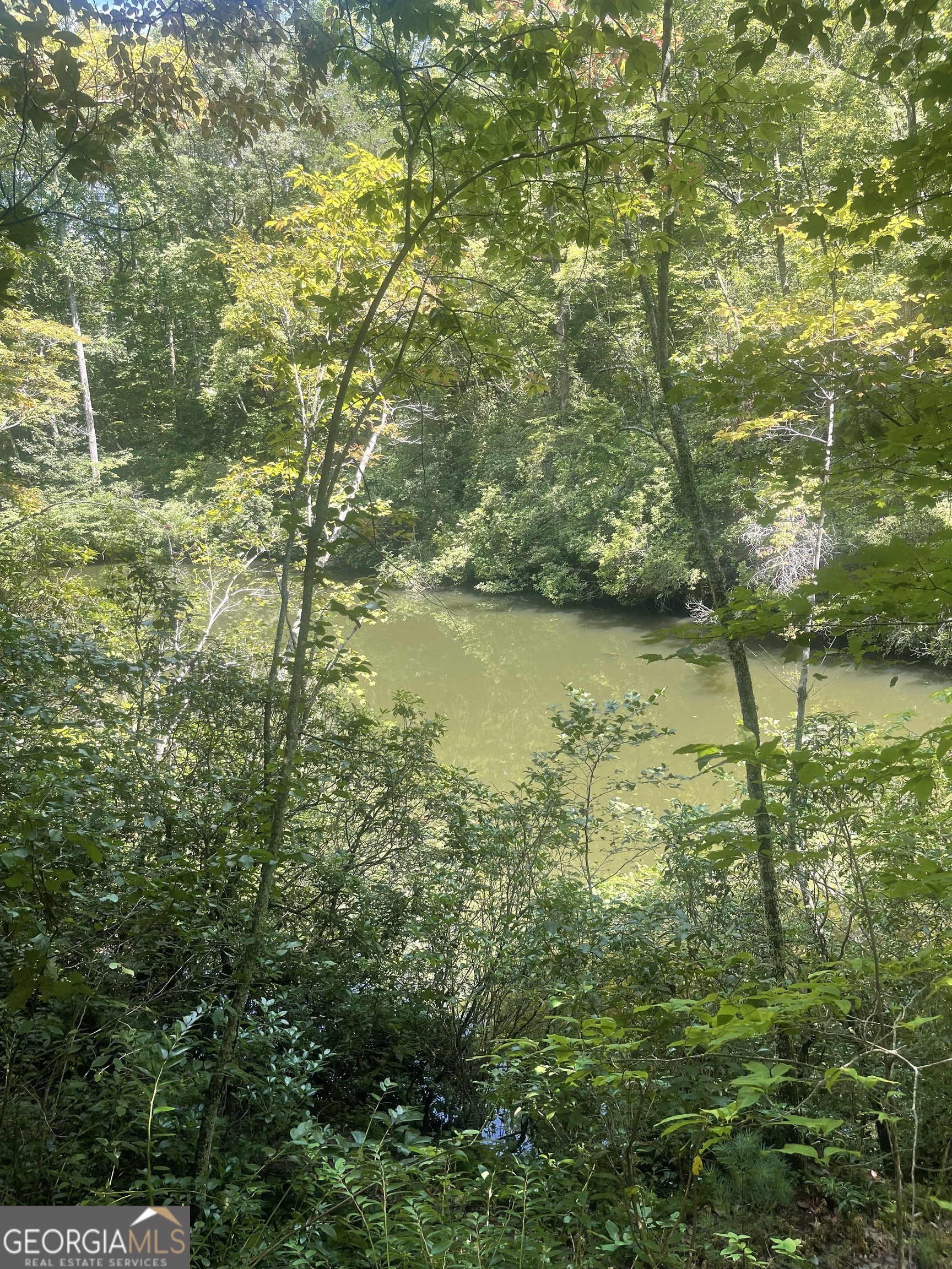 1113 Camp Yonah RD