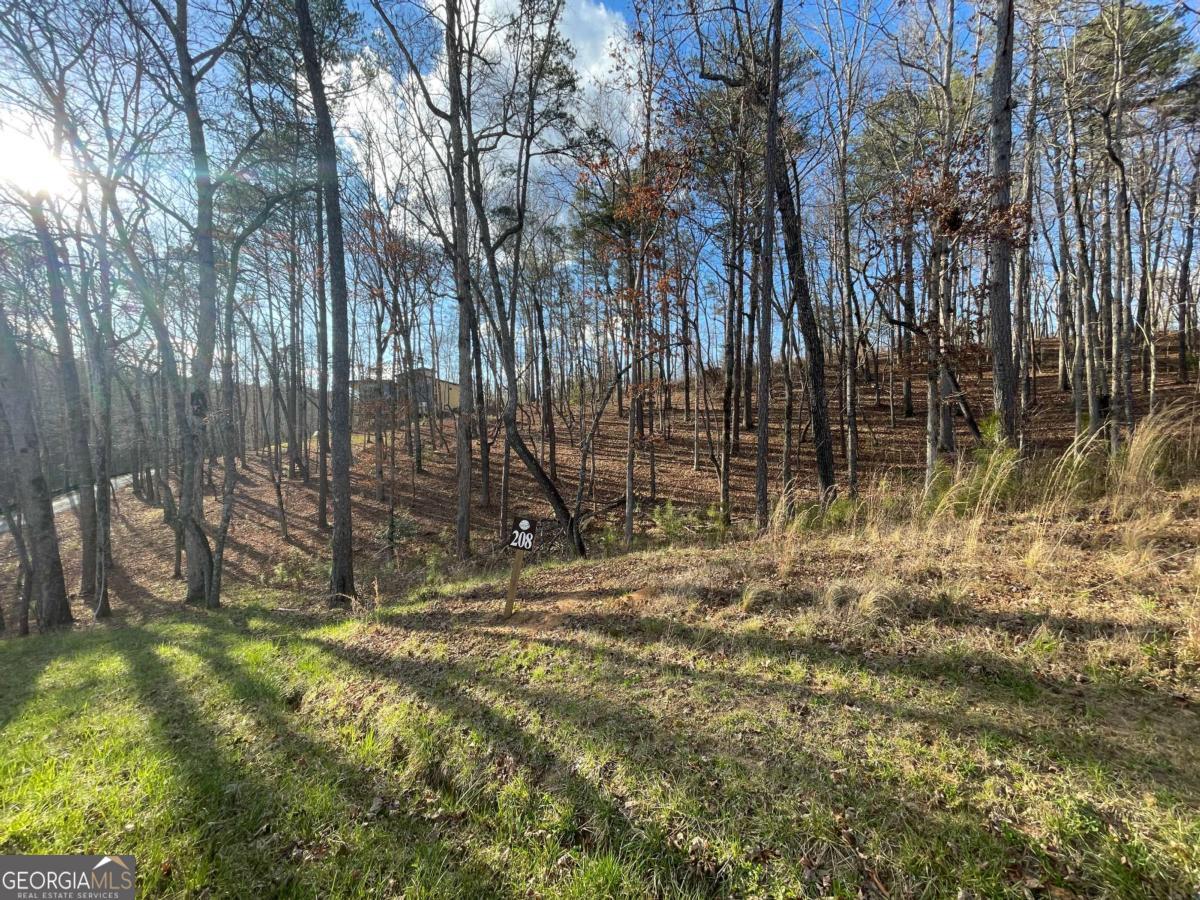 LOT# 208 Pinnacle DR 208