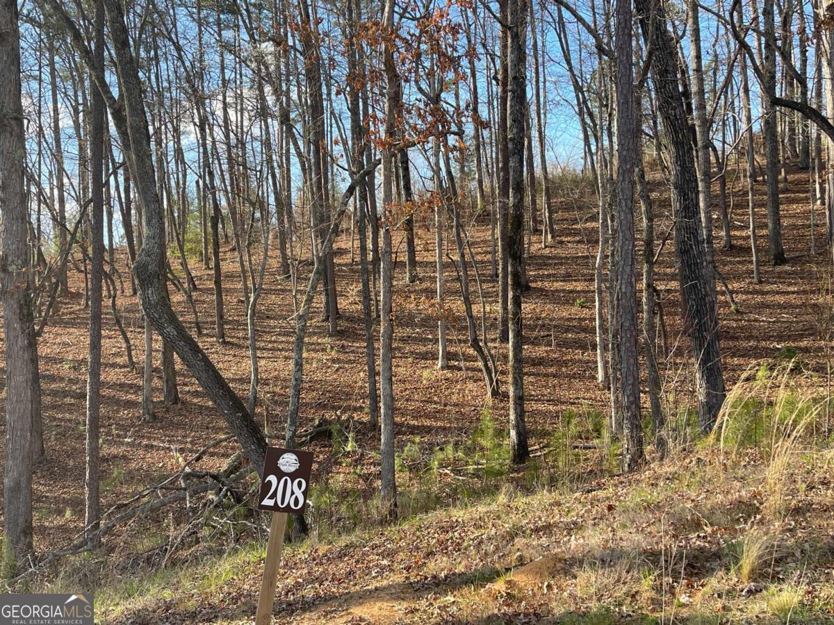 LOT# 208 Pinnacle DR 208