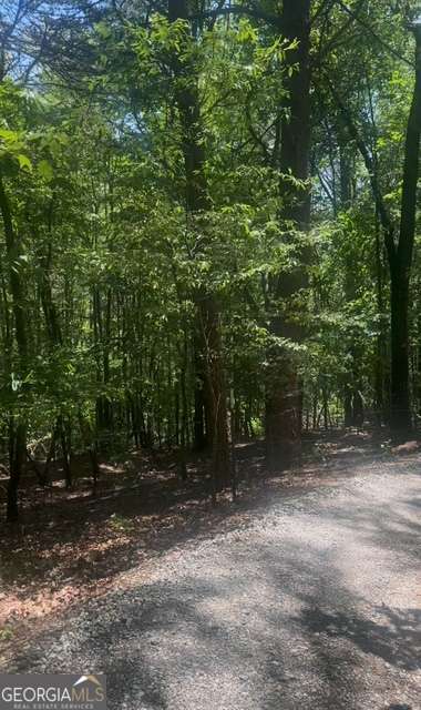 This is it! No HOA and a rare opportunity to own 15.9 acres adjoining beautiful Yonah Mountain Vineyards and the Chattahoochee National Forest! A developers dream with mountain views and privacy..... or come build your own private retreat on this great piece of land!