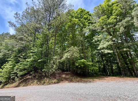 0 Nectar Lane Ellijay GA 30540