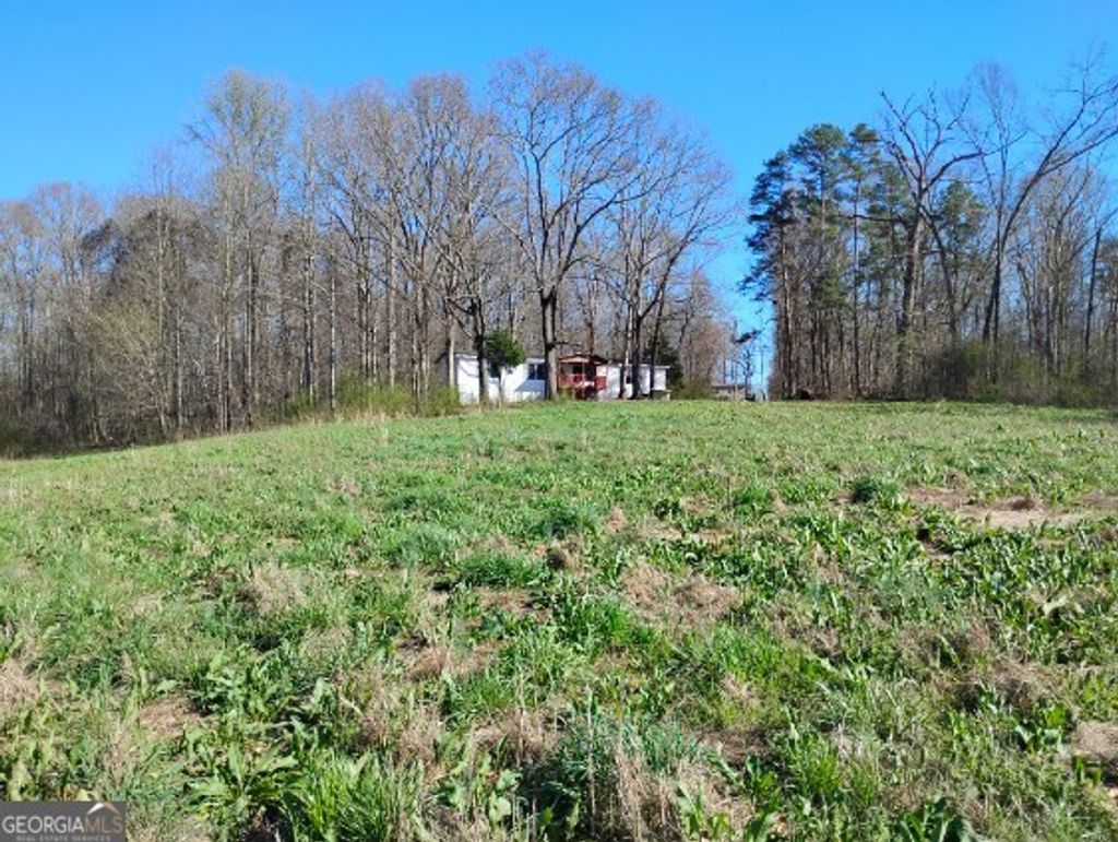 Photo of 2331 Kesler Rd, Carnesville, GA 30521 (MLS # 10707316)