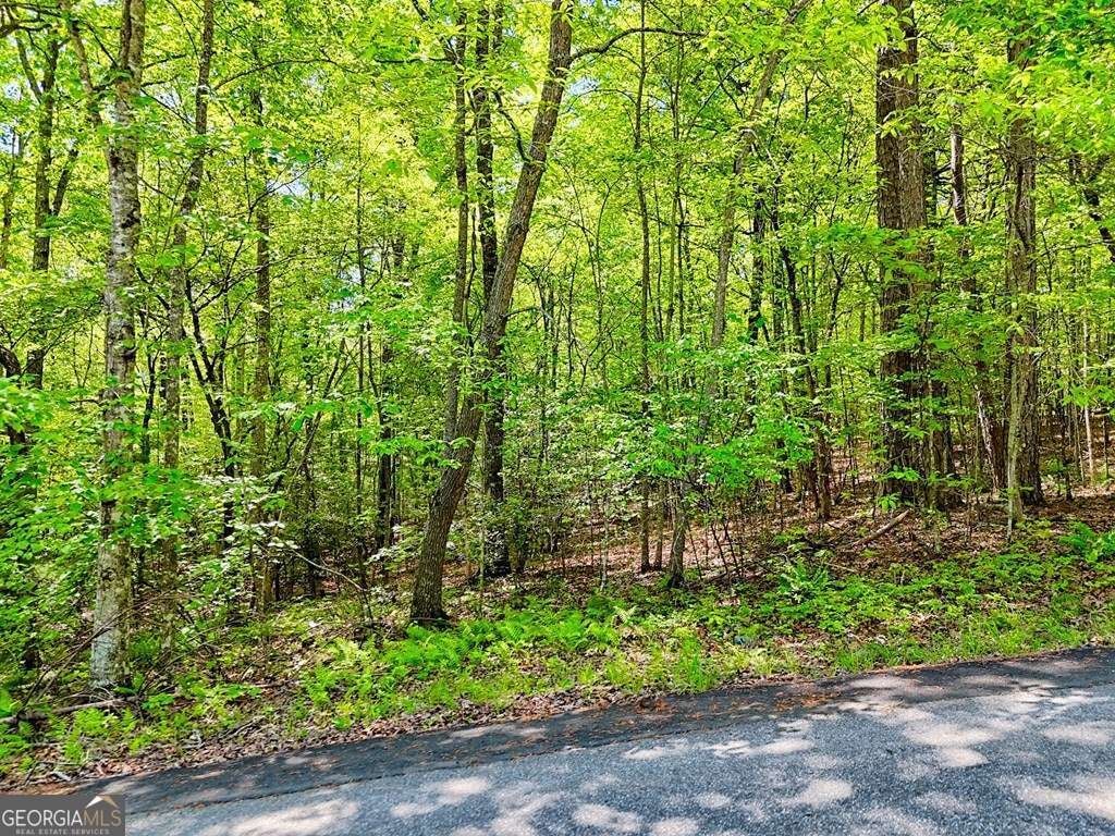 LOTS 3&5 Cozy Cove RD
