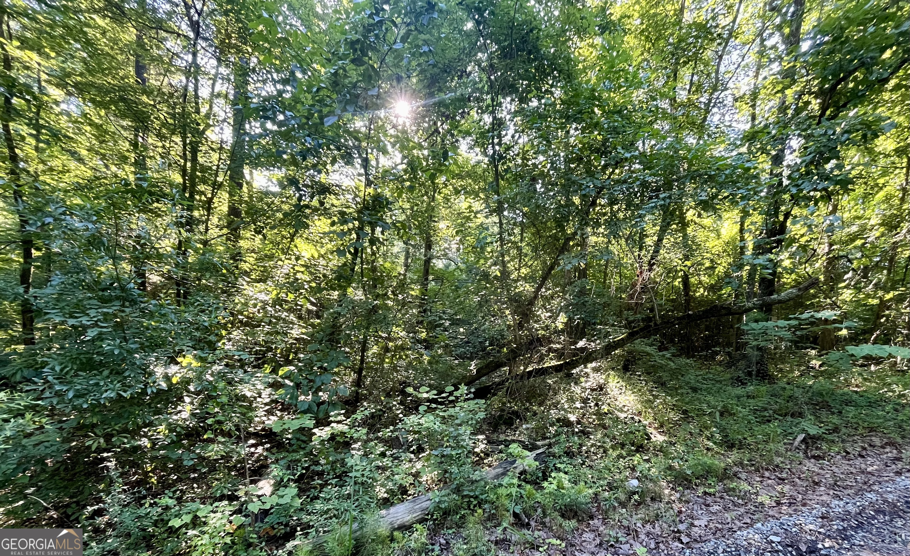 0 Meadowlark DR LOT 8