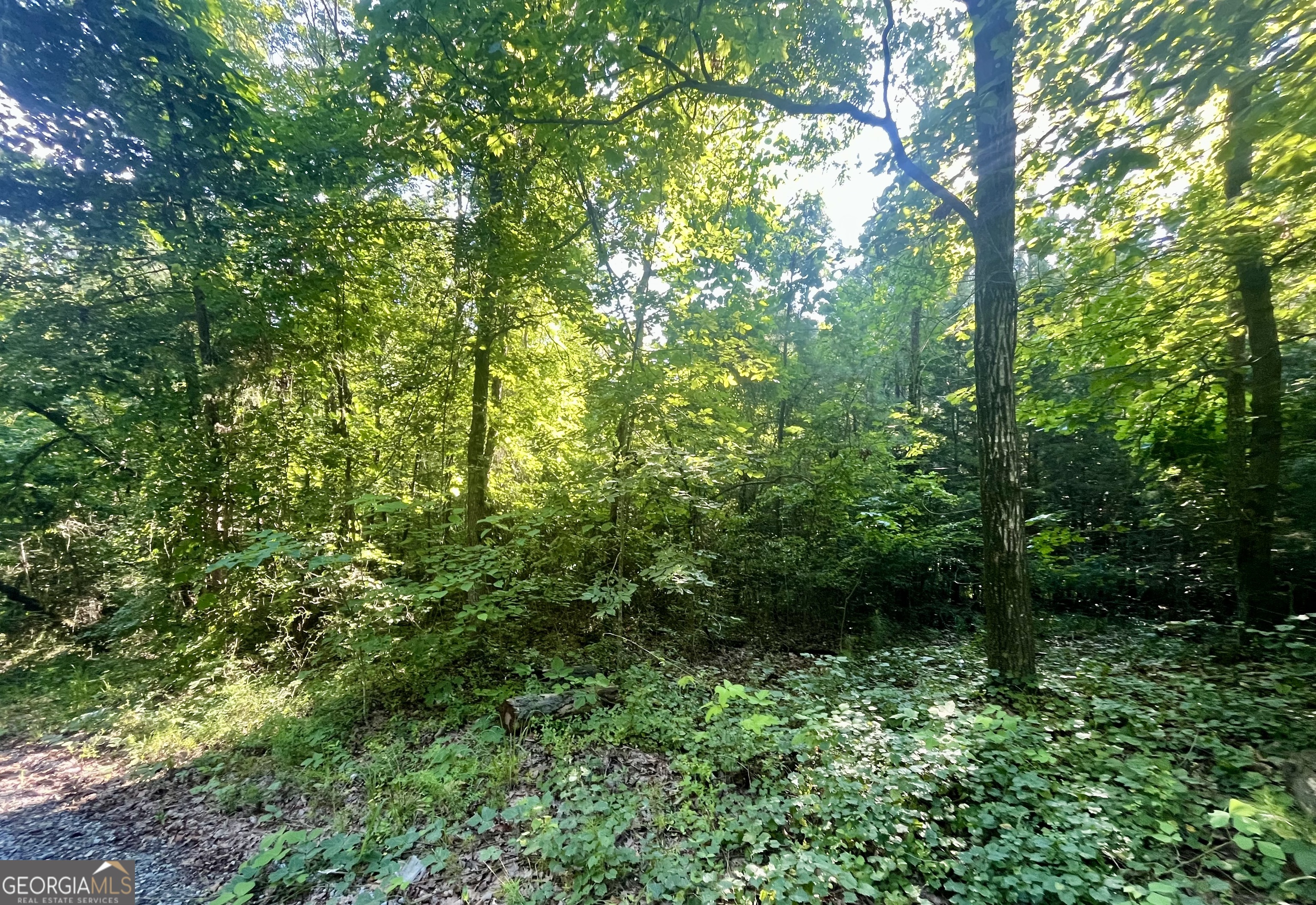 0 Meadowlark DR LOT 8