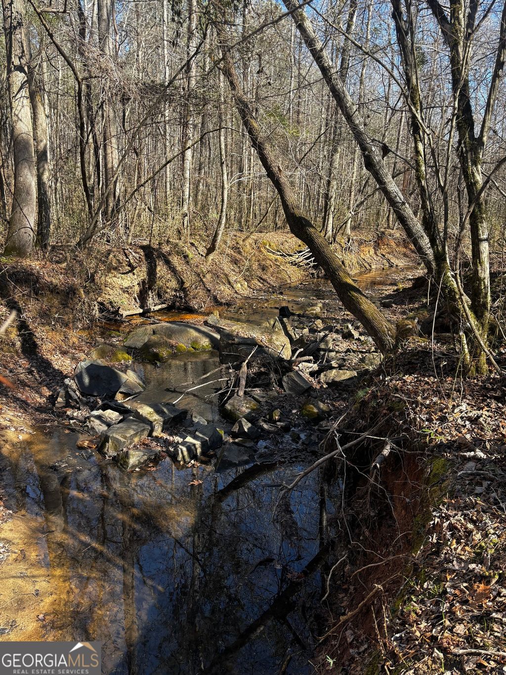 Photo of 0 Thaxton Rd, Rayle, GA 30660 (MLS # 10696641)