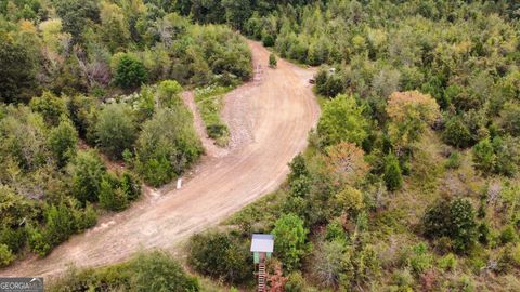 Photo of 0 Thaxton Rd, Rayle, GA 30660 (MLS # 10696641)