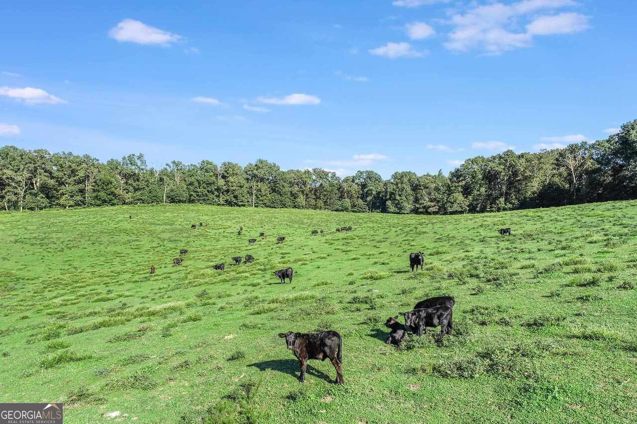 1340 441 Express WAY