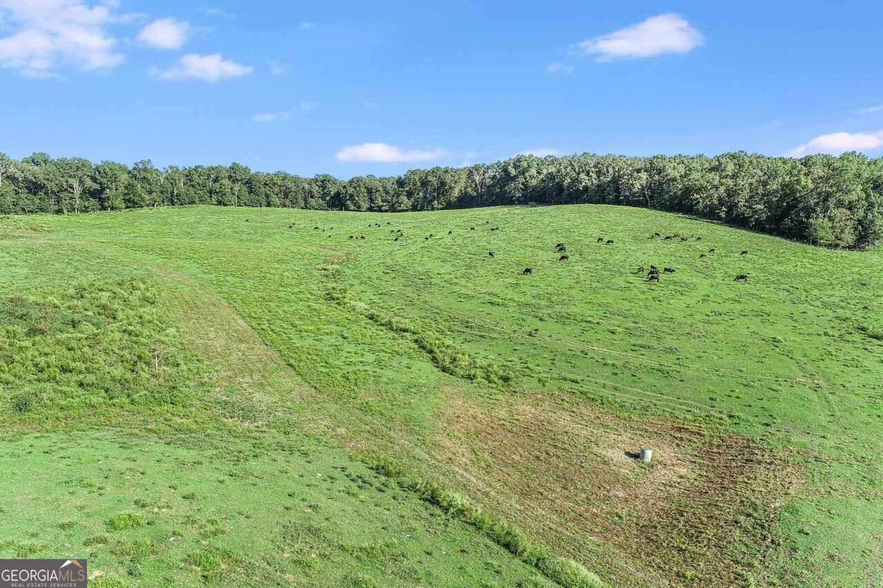 1340 441 Express WAY