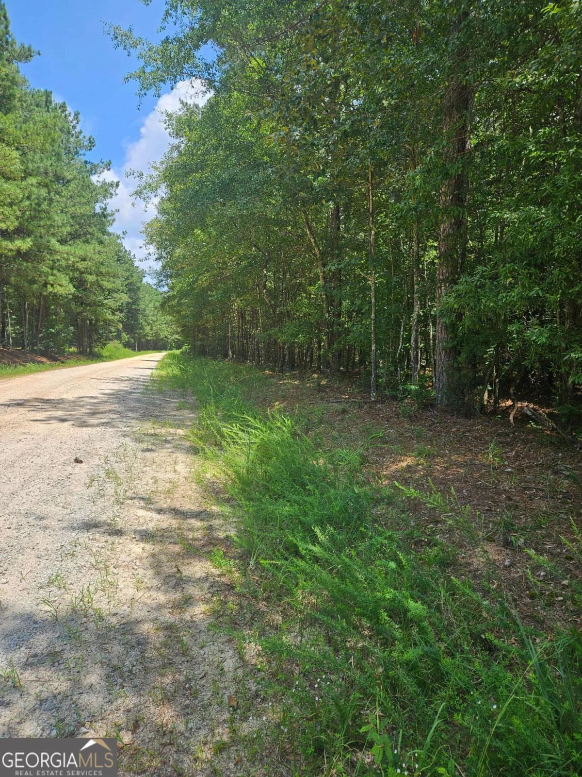 292 Mccannon Rd Tract 3a Rd, Carlton, GA, 30627