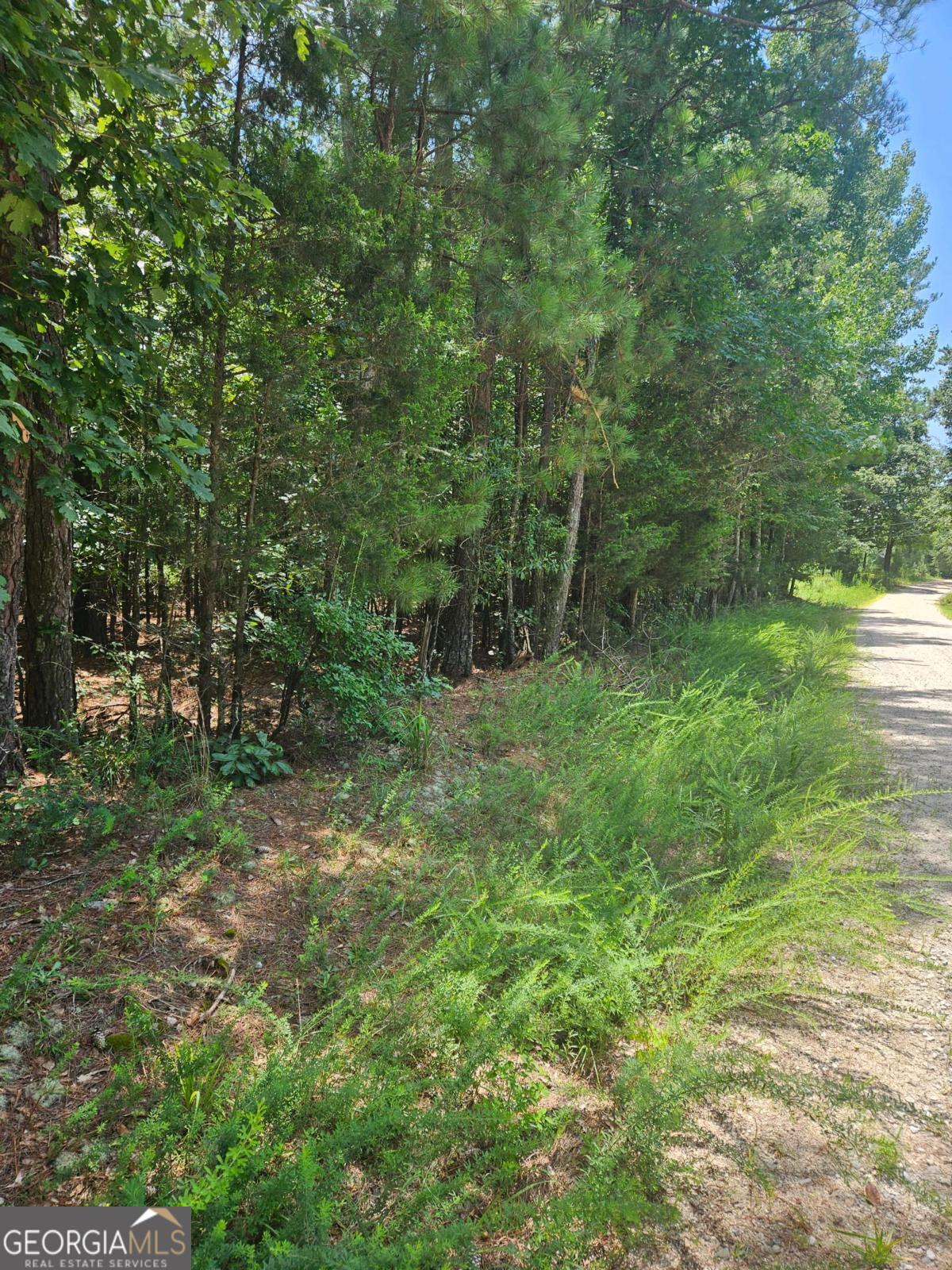 292 Mccannon RD TRACT 3A