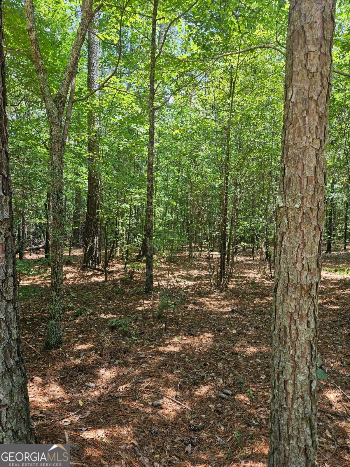 292 Mccannon RD TRACT 3A